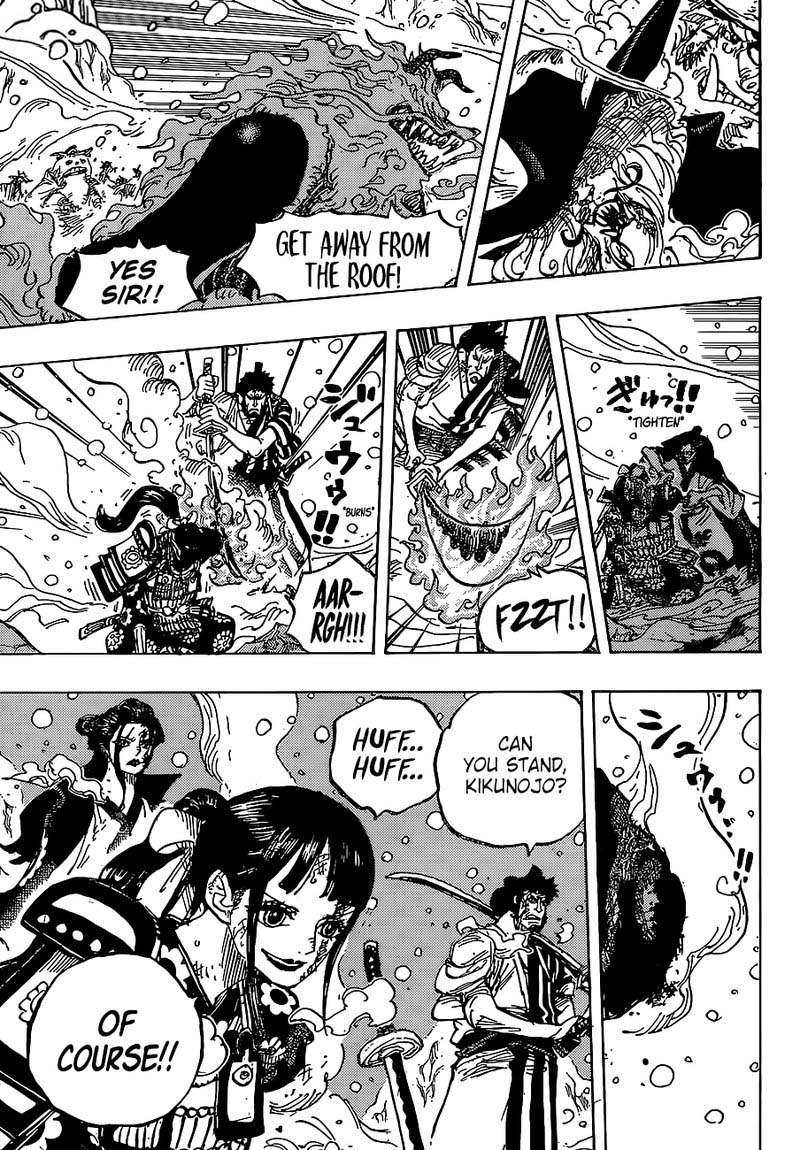 One Piece Chapter 994 — page 3