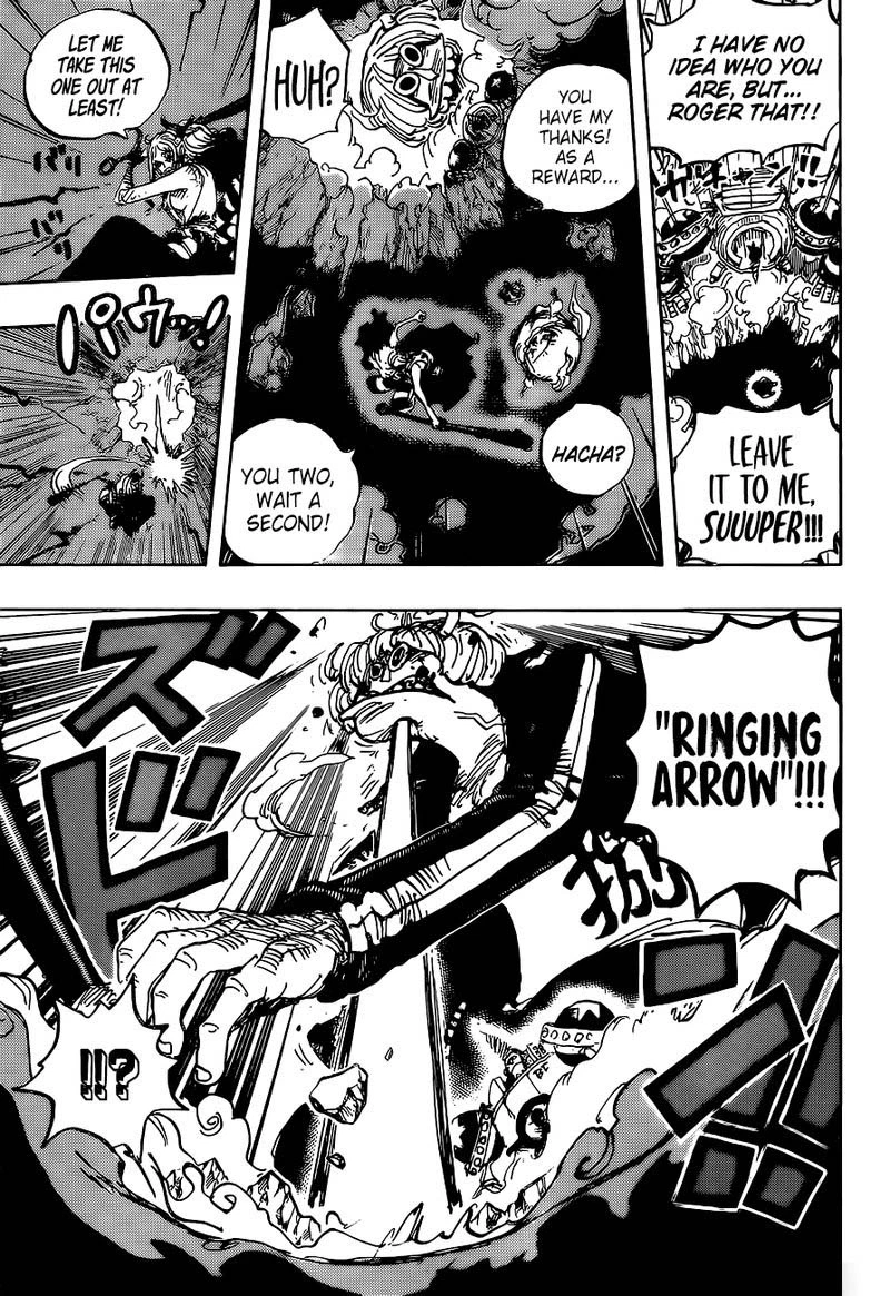 One Piece Chapter 996 — page 9