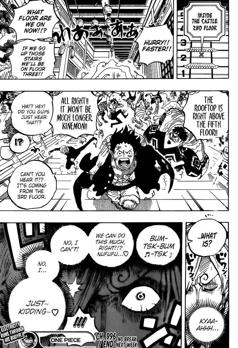 One Piece Chapter 996 — page 17
