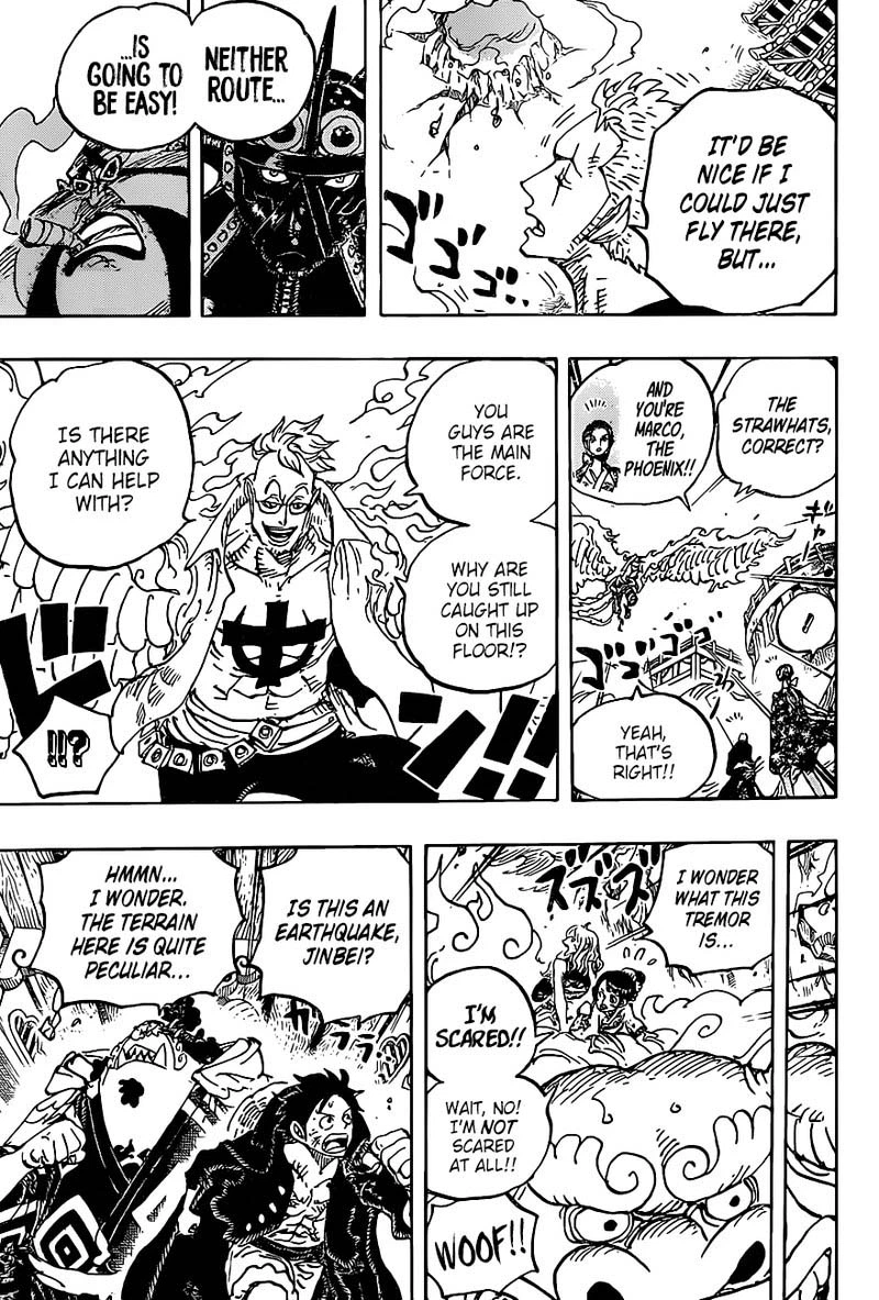 One Piece Chapter 997 — page 13