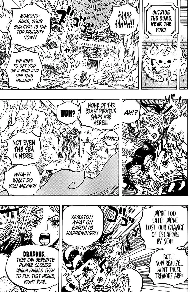One Piece Chapter 997 — page 15