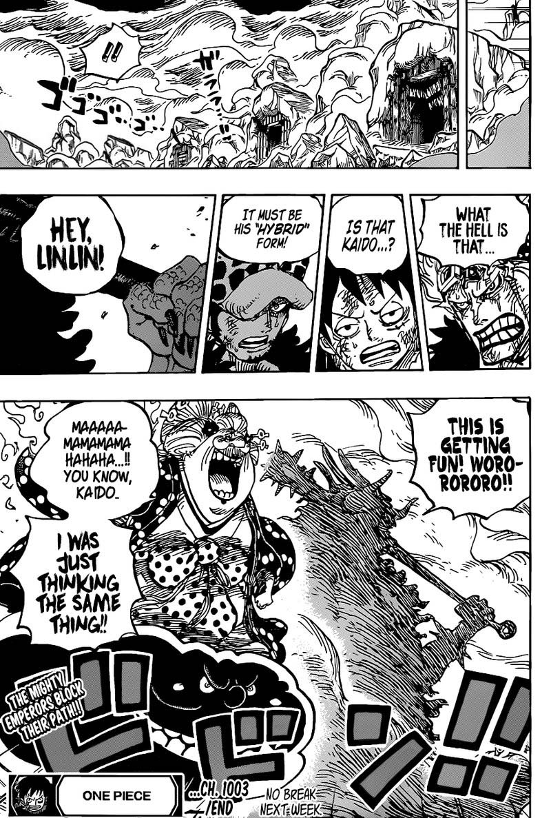 One Piece Chapter 1003 — page 13