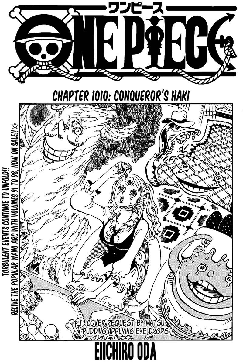 One Piece Chapter 1010 — page 1