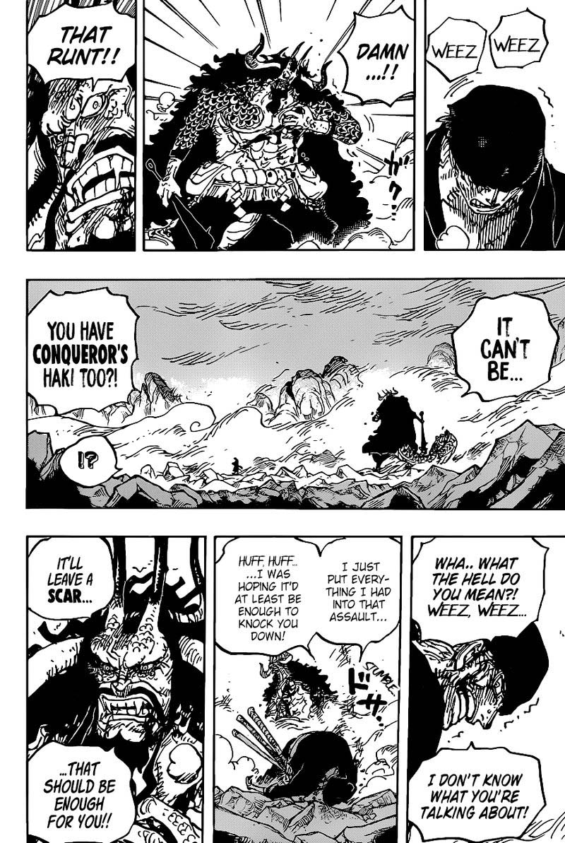 One Piece Chapter 1010 — page 9