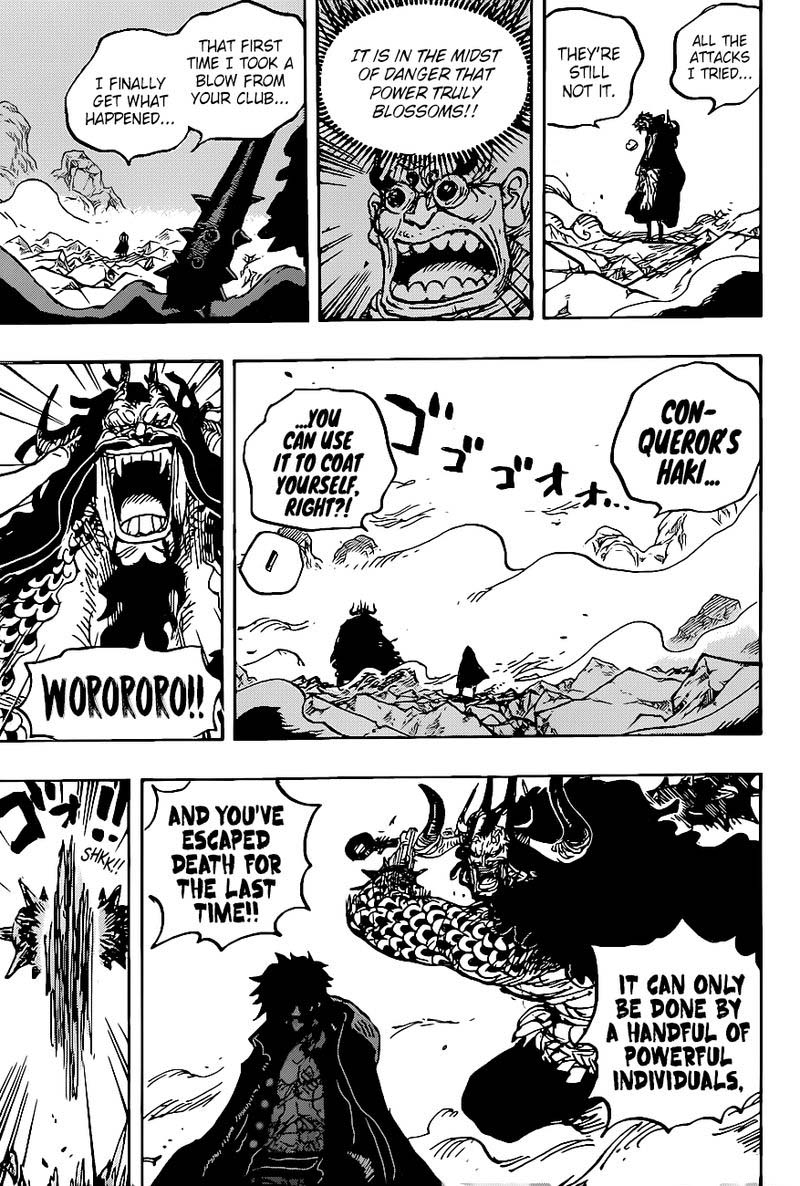 One Piece Chapter 1010 — page 12