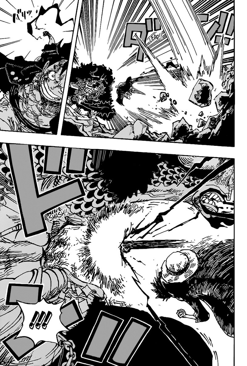 One Piece Chapter 1010 — page 14