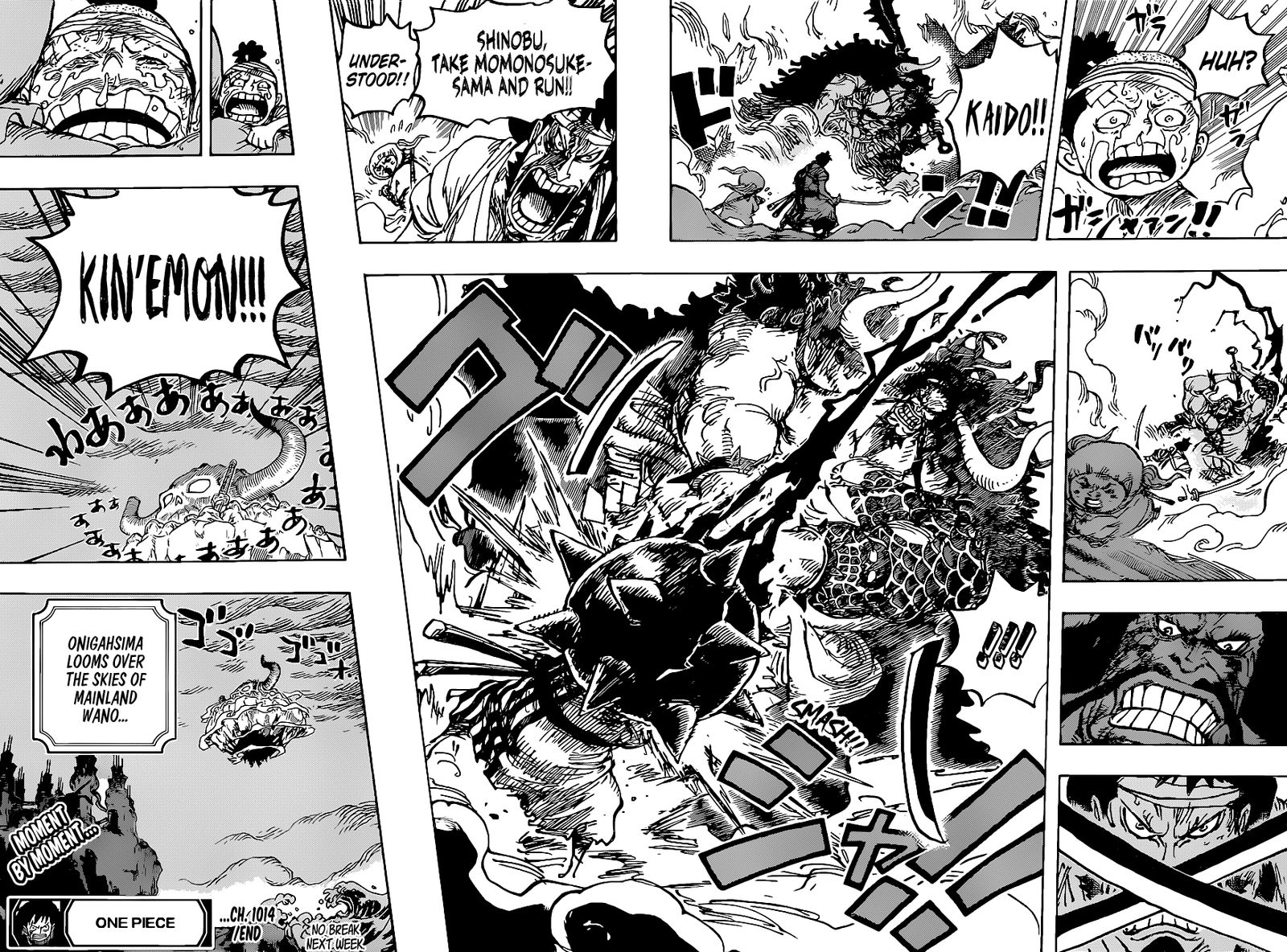One Piece Chapter 1014 — page 14