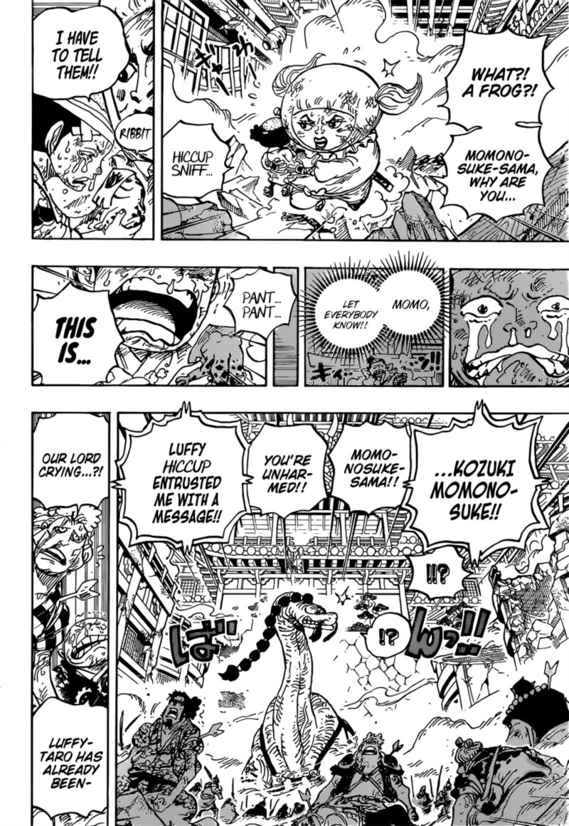 One Piece Chapter 1015 — page 11