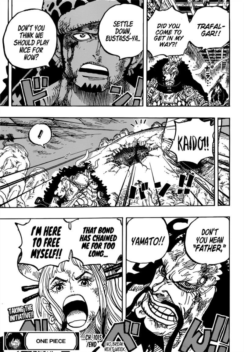 One Piece Chapter 1015 — page 15