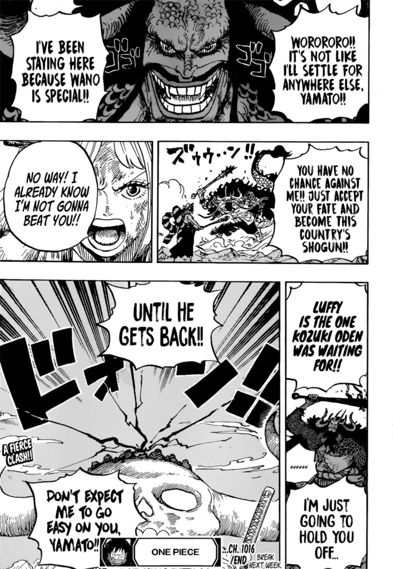 One Piece Chapter 1016 — page 14