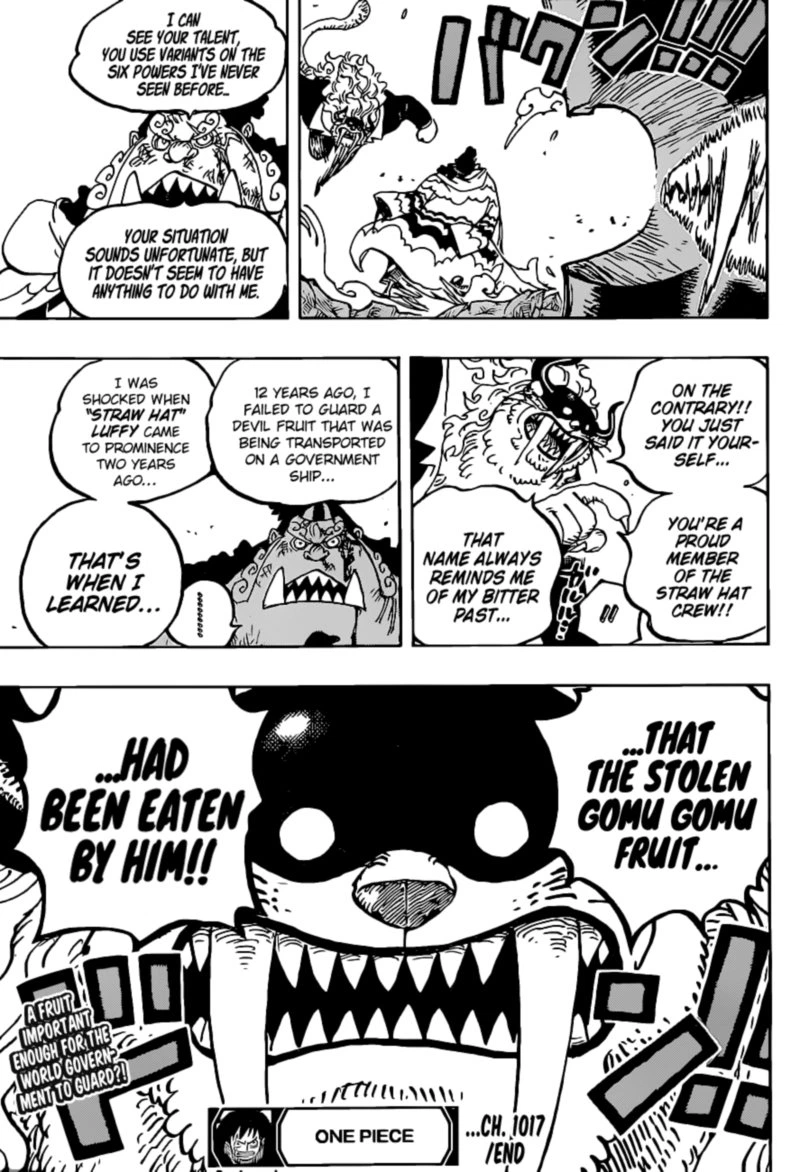 One Piece Chapter 1017 — page 17