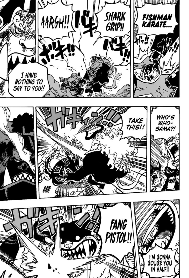 One Piece Chapter 1018 — page 15