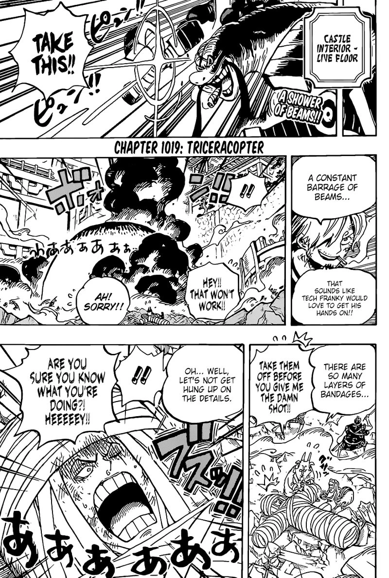 One Piece Chapter 1019 — page 4