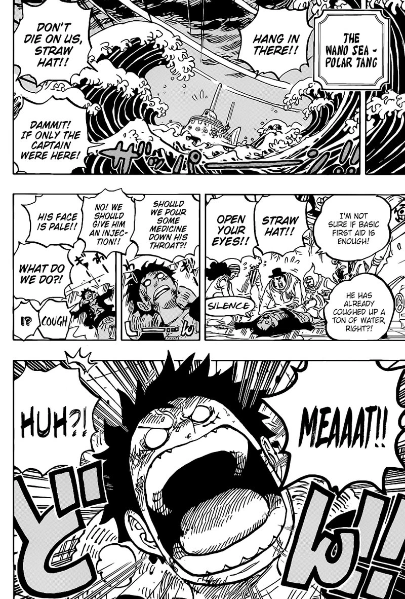 One Piece Chapter 1019 — page 5