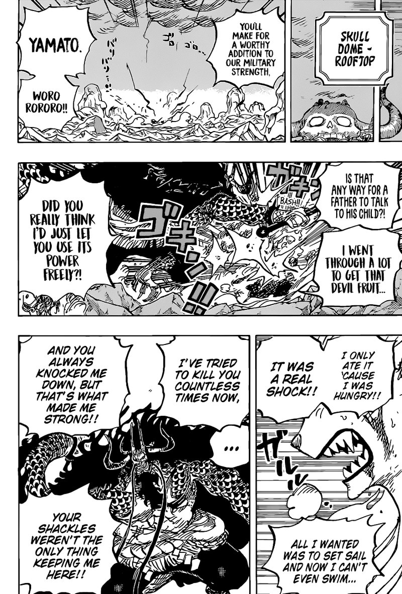 One Piece Chapter 1019 — page 18