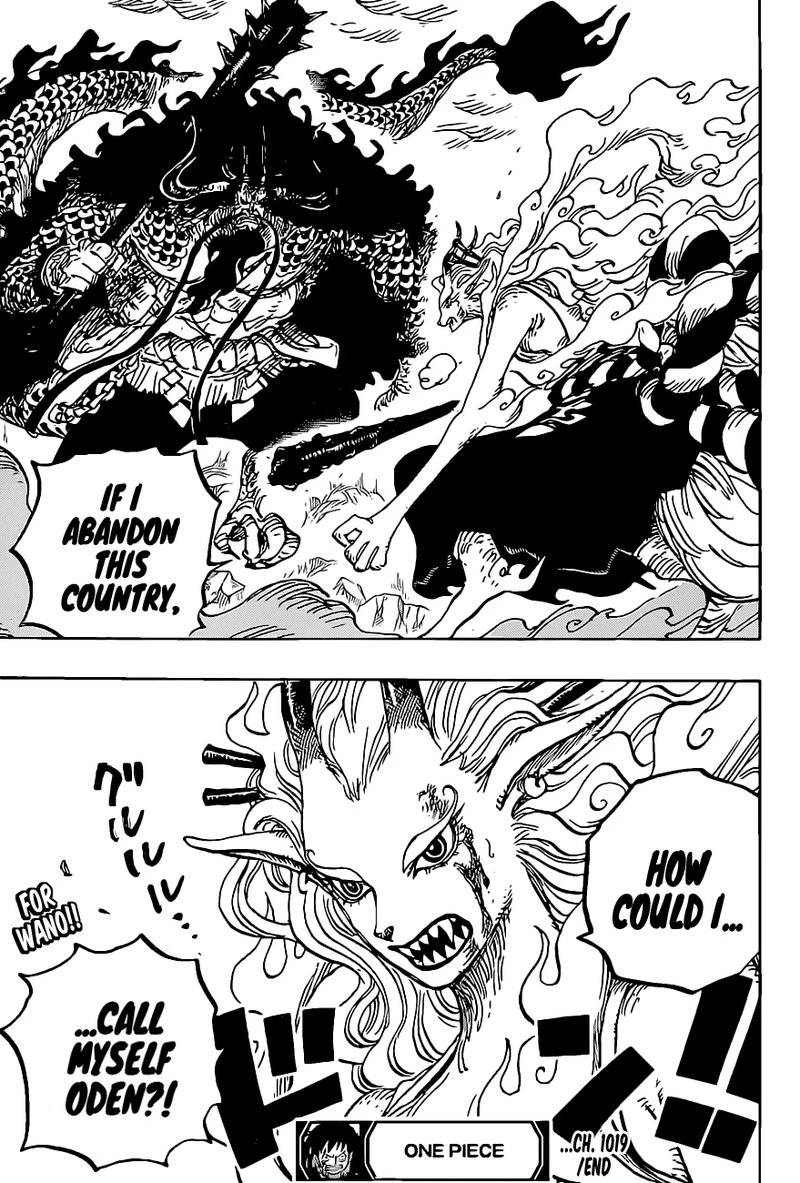 One Piece Chapter 1019 — page 19