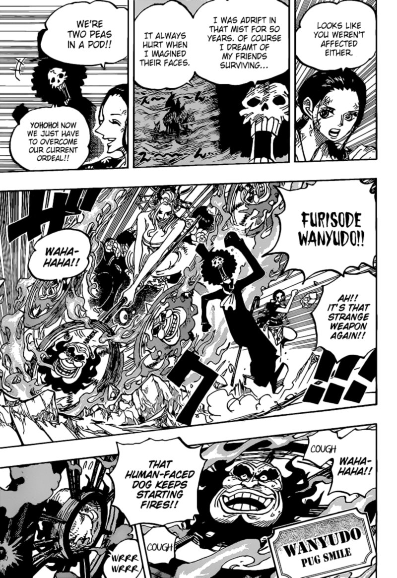 One Piece Chapter 1020 — page 9
