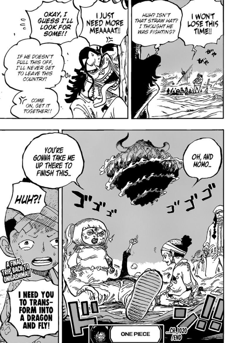One Piece Chapter 1020 — page 17