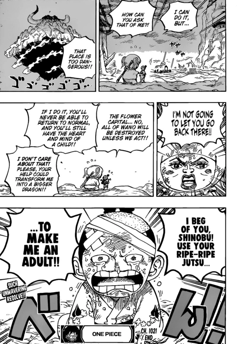 One Piece Chapter 1021 — page 16
