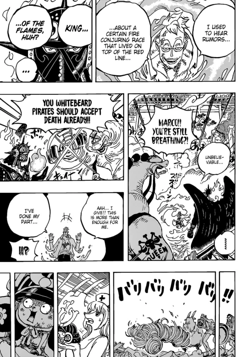 One Piece Chapter 1022 — page 14