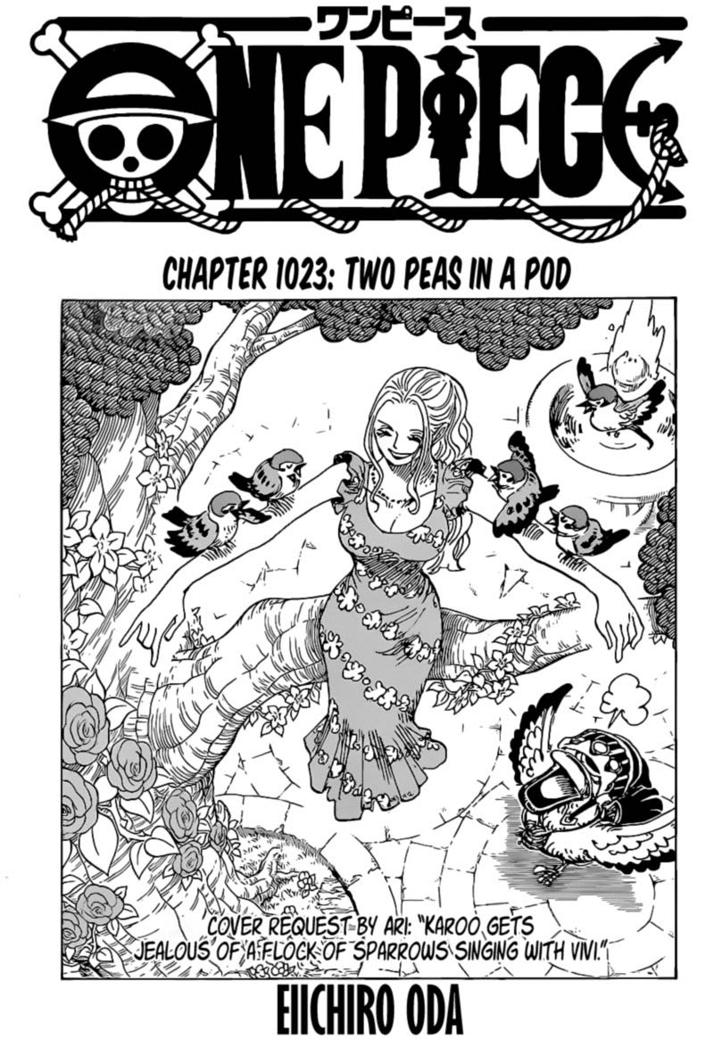 One Piece Chapter 1023 — page 2