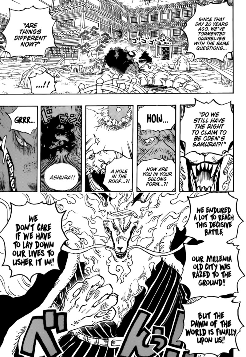 One Piece Chapter 1023 — page 14