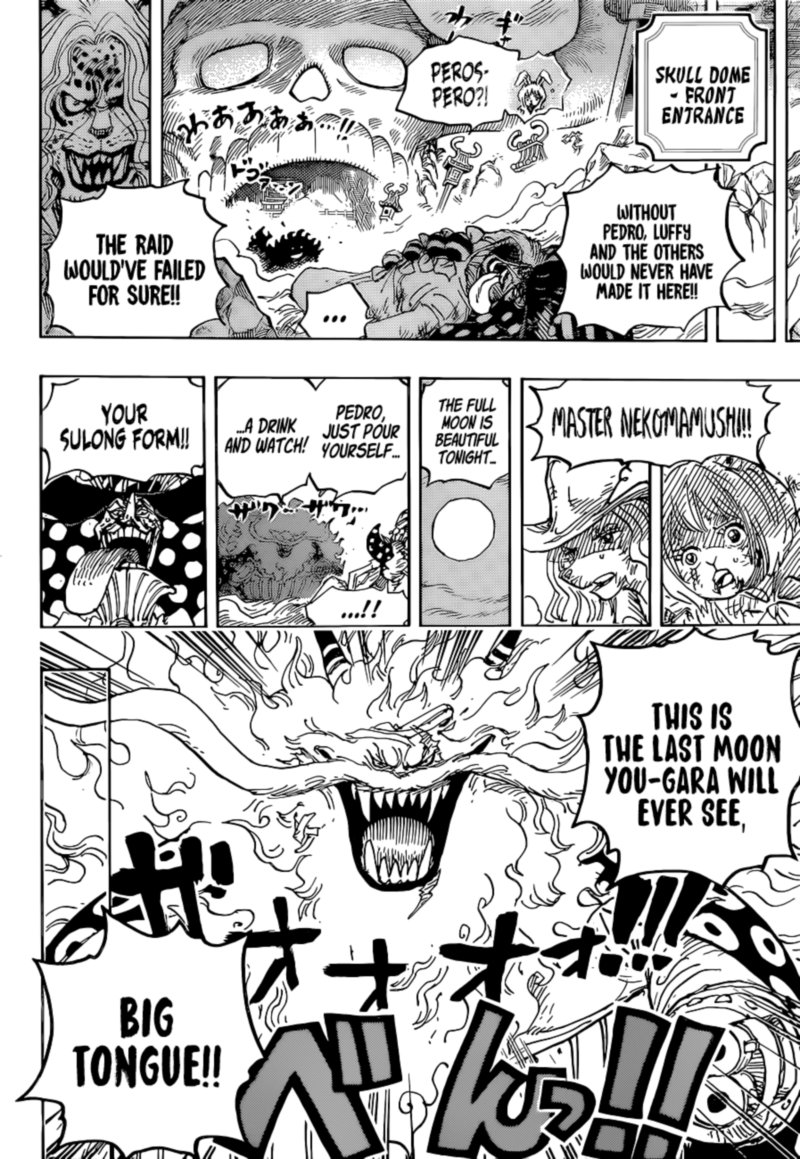 One Piece Chapter 1023 — page 15