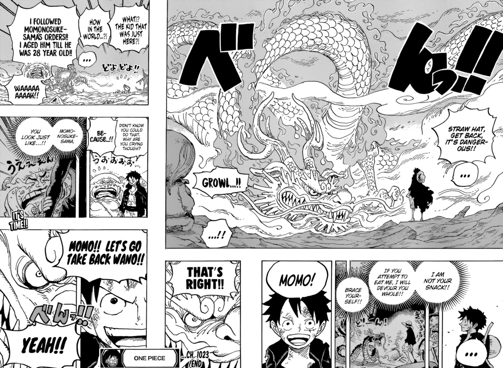 One Piece Chapter 1023 — page 17