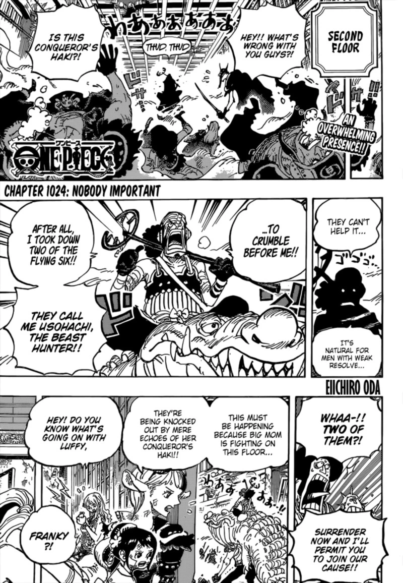 One Piece Chapter 1024 — page 3