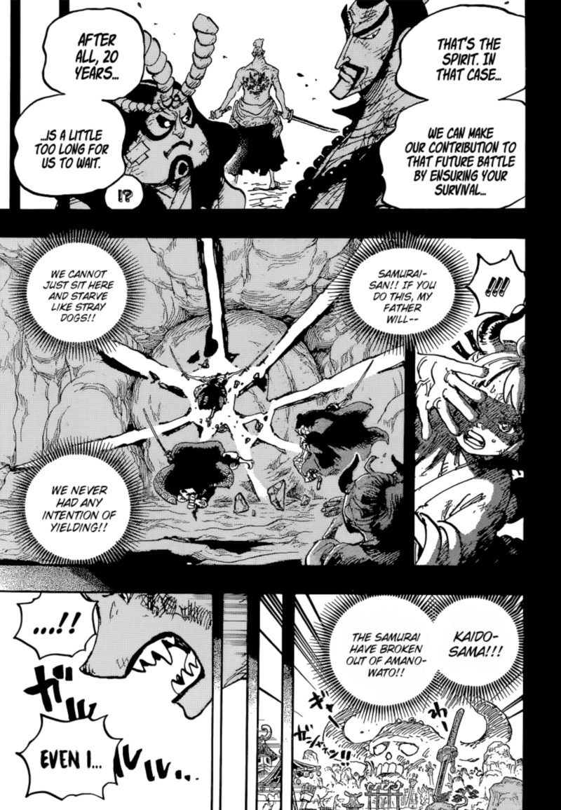 One Piece Chapter 1024 — page 17