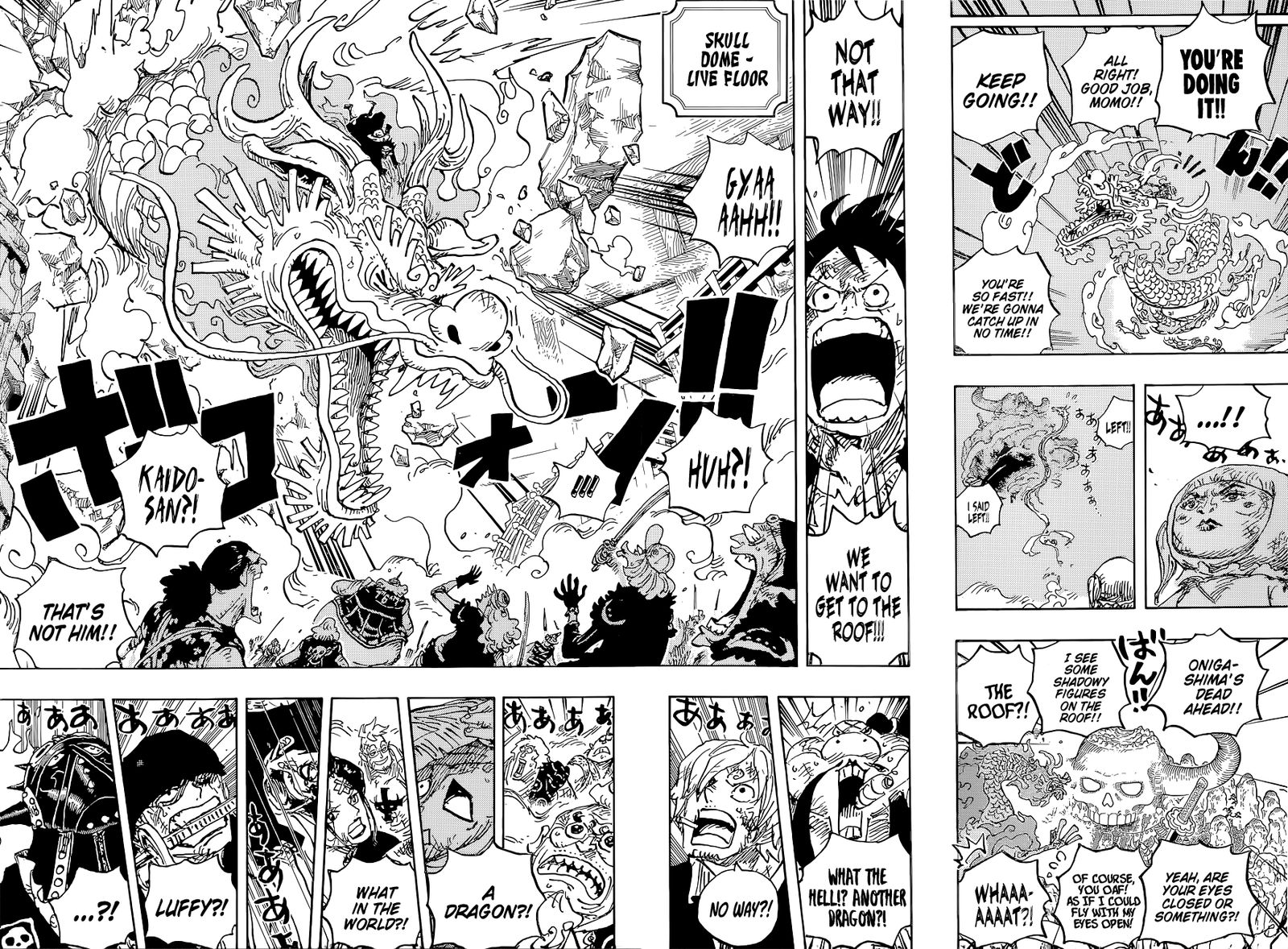 One Piece Chapter 1025 — page 9