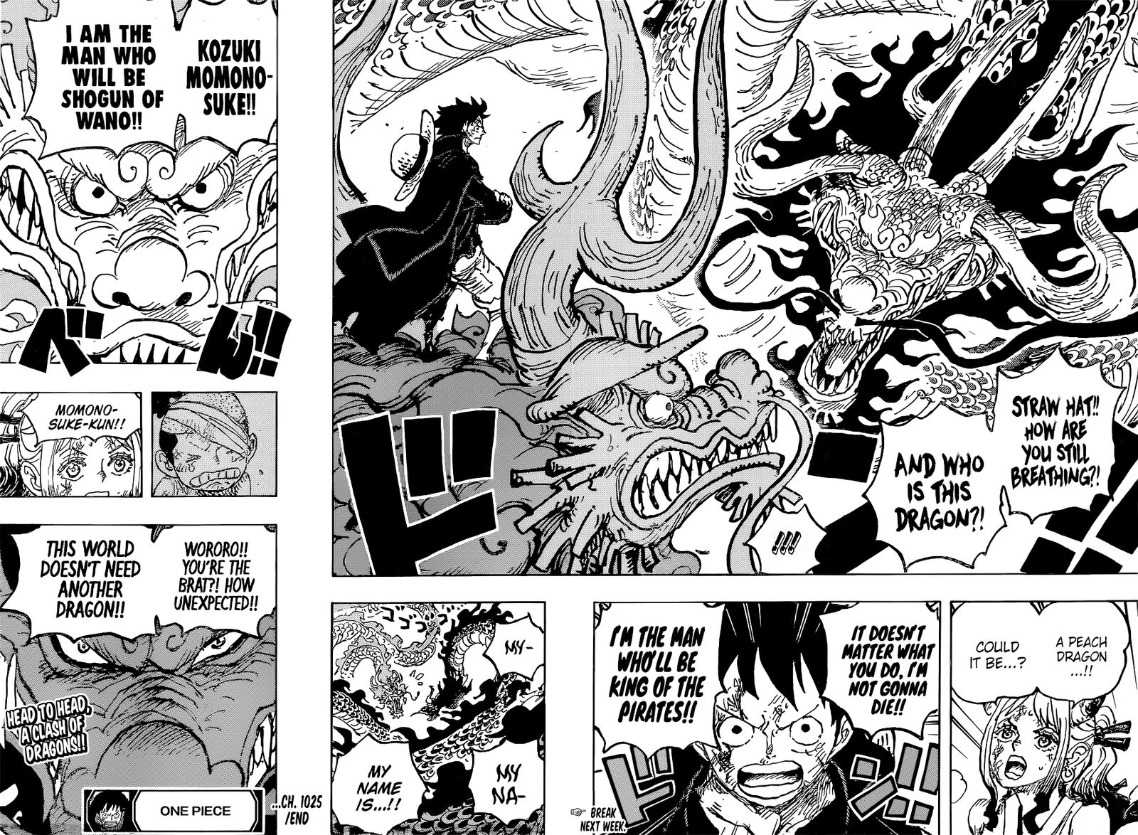 One Piece Chapter 1025 — page 15