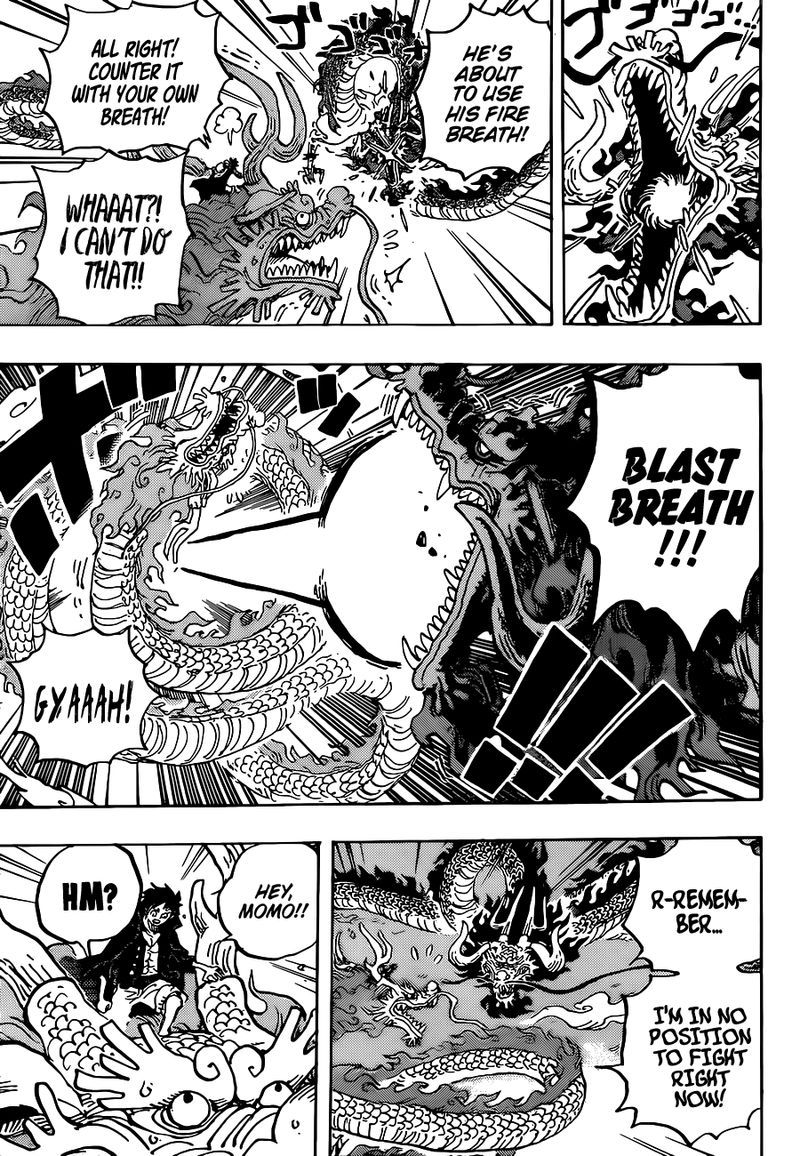 One Piece Chapter 1026 — page 5