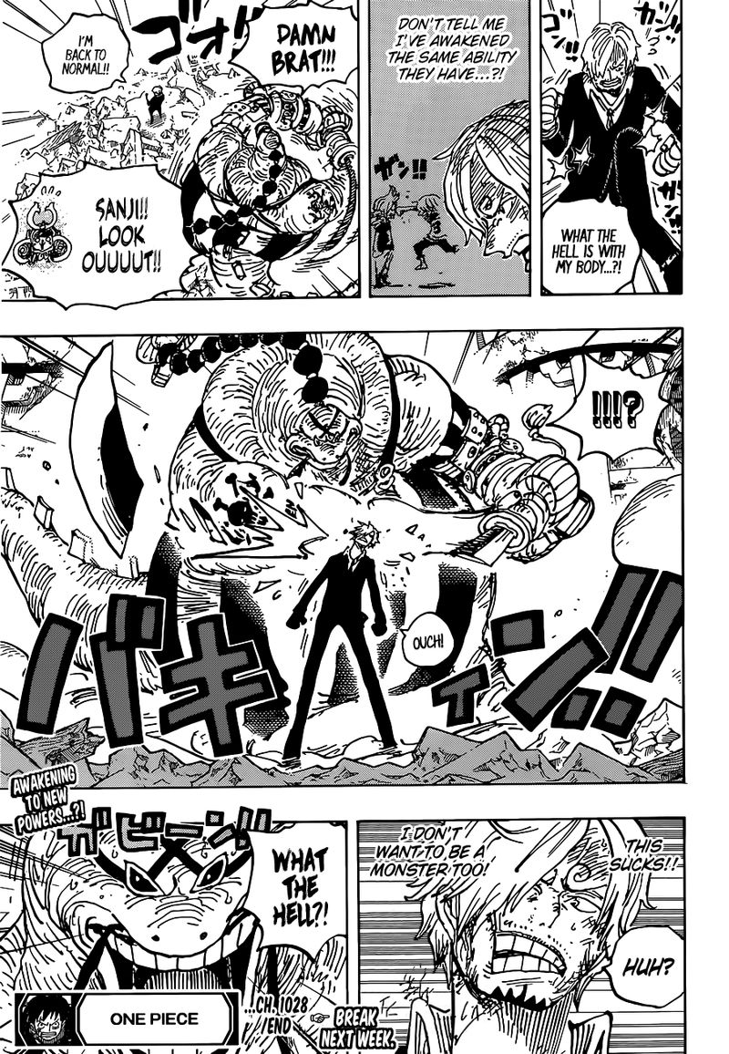 One Piece Chapter 1028 — page 17