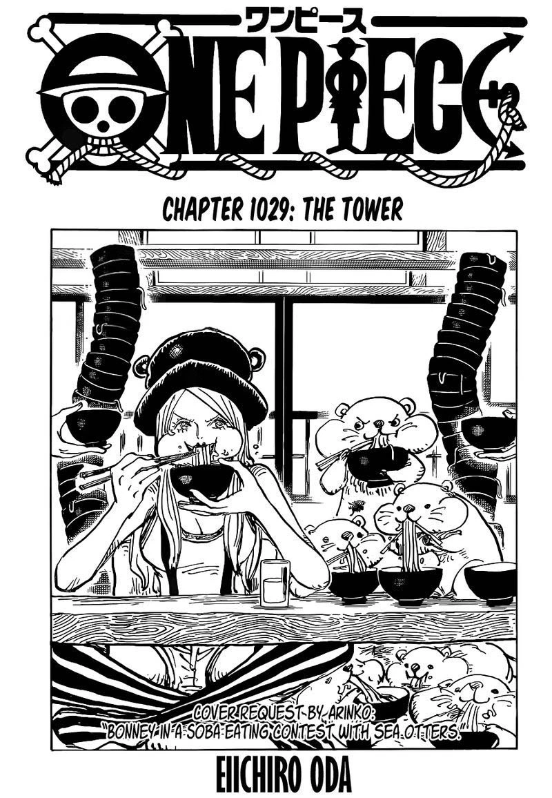 One Piece Chapter 1029 — page 1
