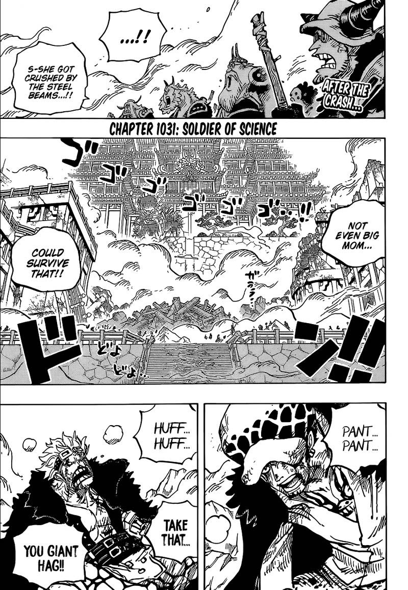 One Piece Chapter 1031 — page 3
