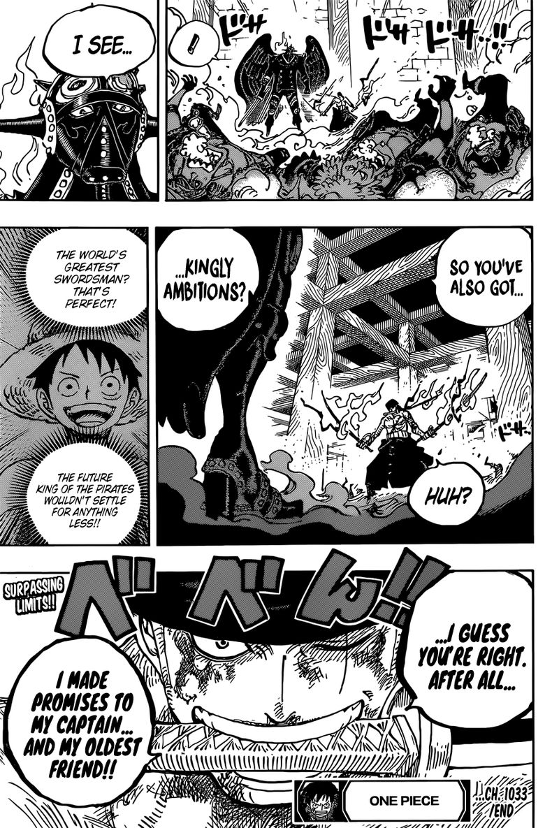One Piece Chapter 1033 — page 17