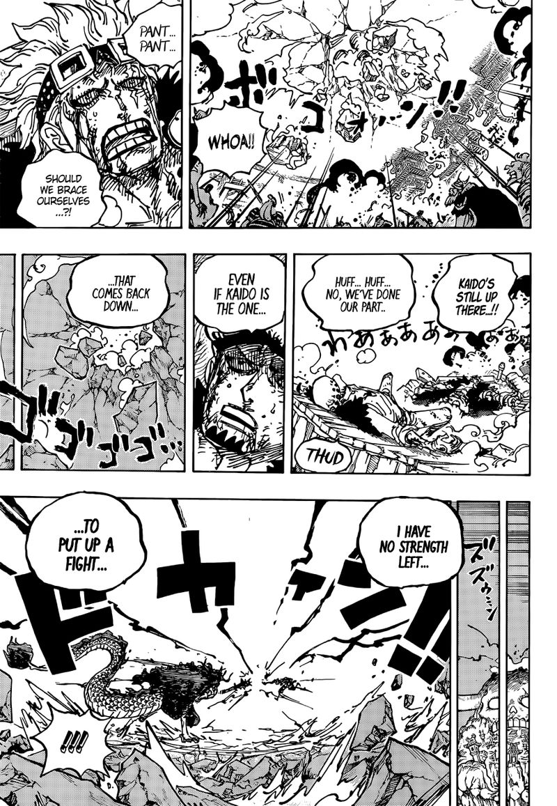 One Piece Chapter 1041 — page 13