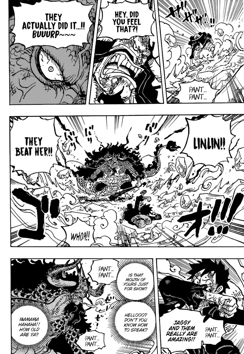 One Piece Chapter 1041 — page 14