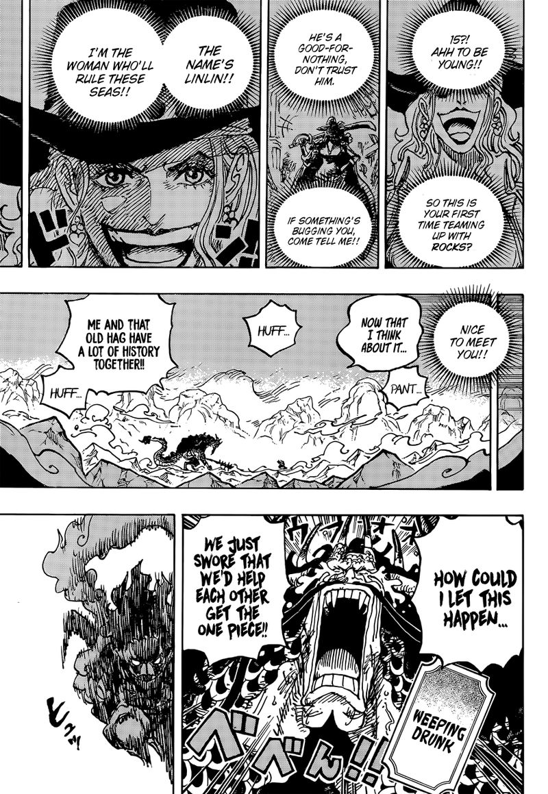 One Piece Chapter 1041 — page 15