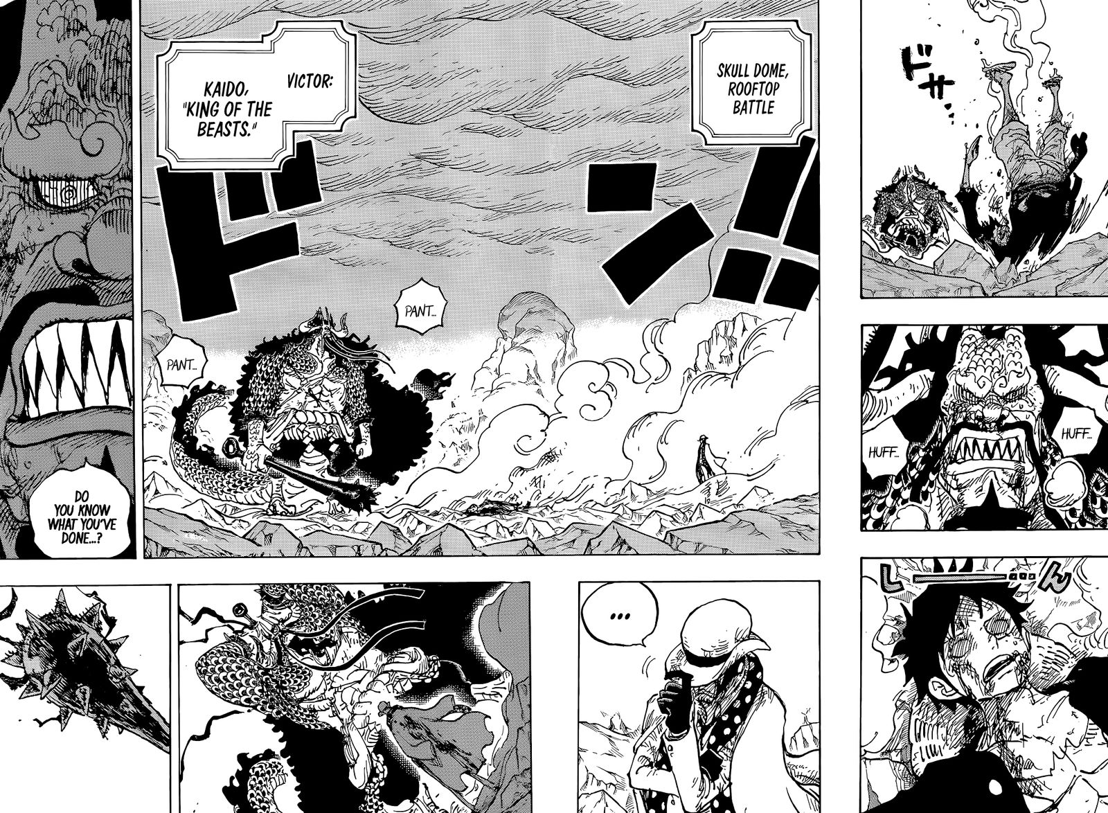 One Piece Chapter 1043 — page 4