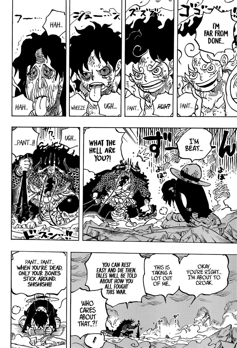 One Piece Chapter 1045 — page 13