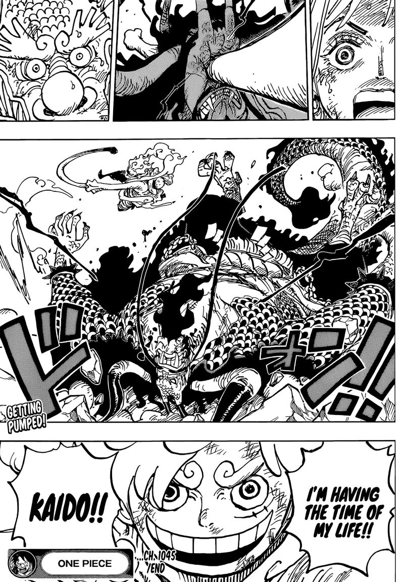 One Piece Chapter 1045 — page 18