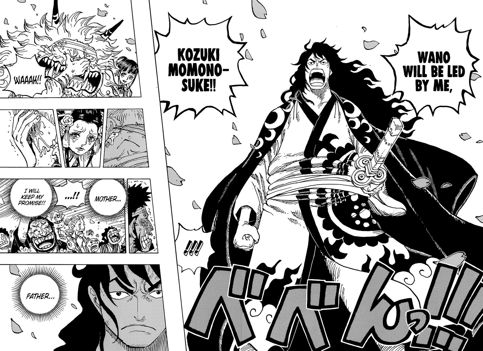 One Piece Chapter 1051 — page 14