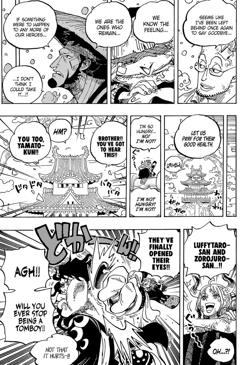 One Piece Chapter 1052 — page 9
