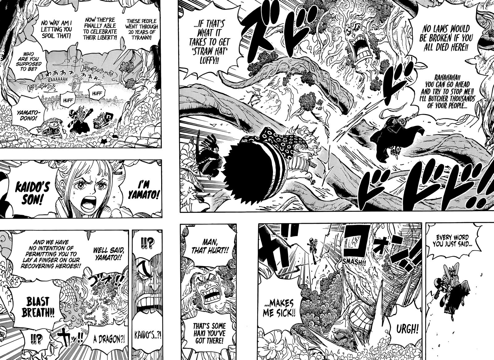 One Piece Chapter 1054 — page 5