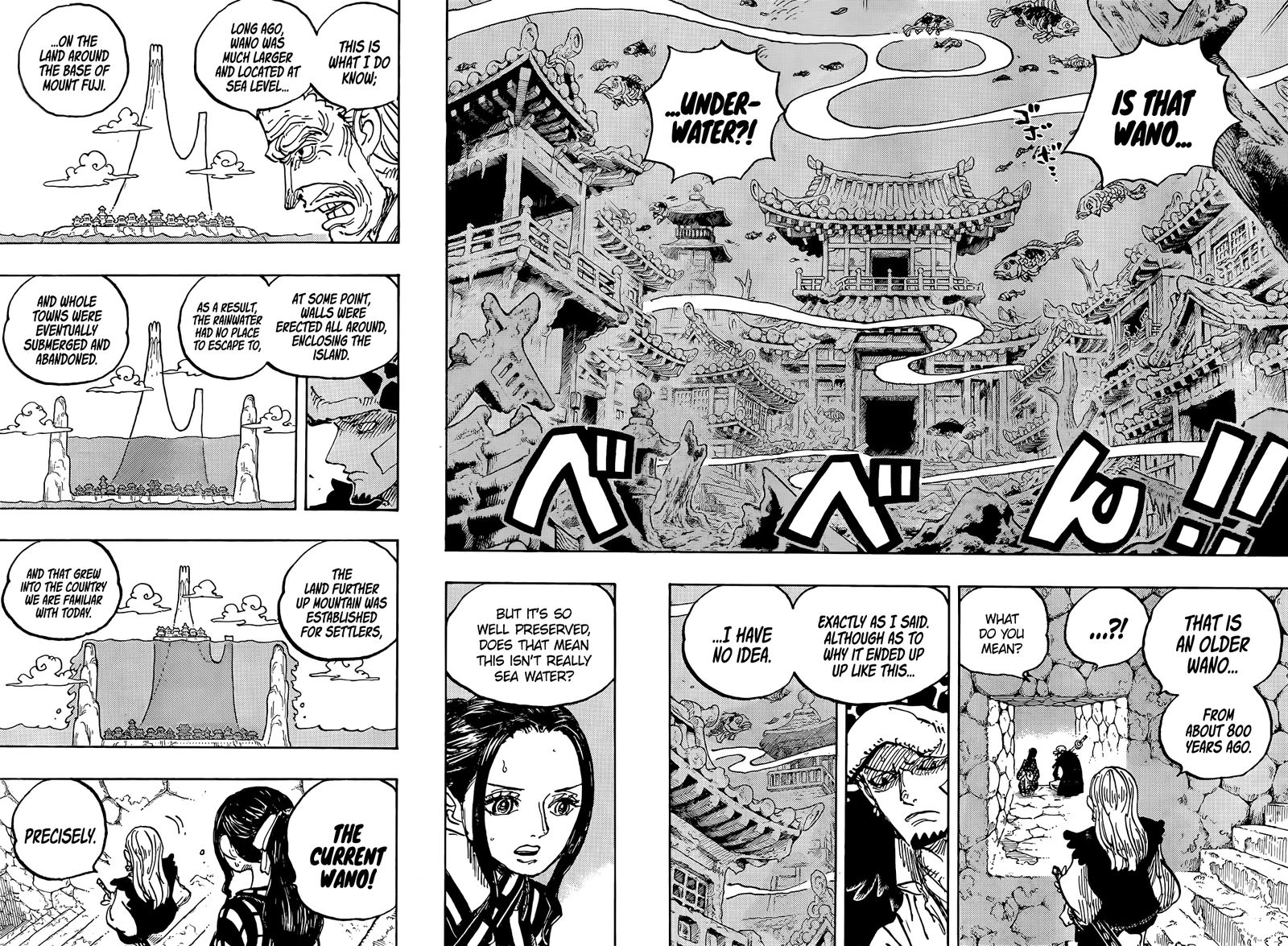 One Piece Chapter 1055 — page 9