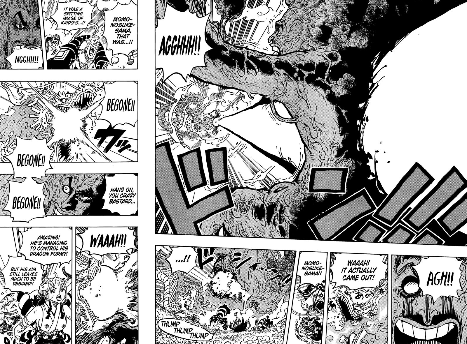 One Piece Chapter 1055 — page 14