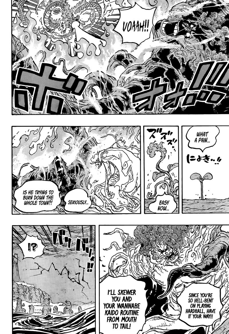 One Piece Chapter 1055 — page 15