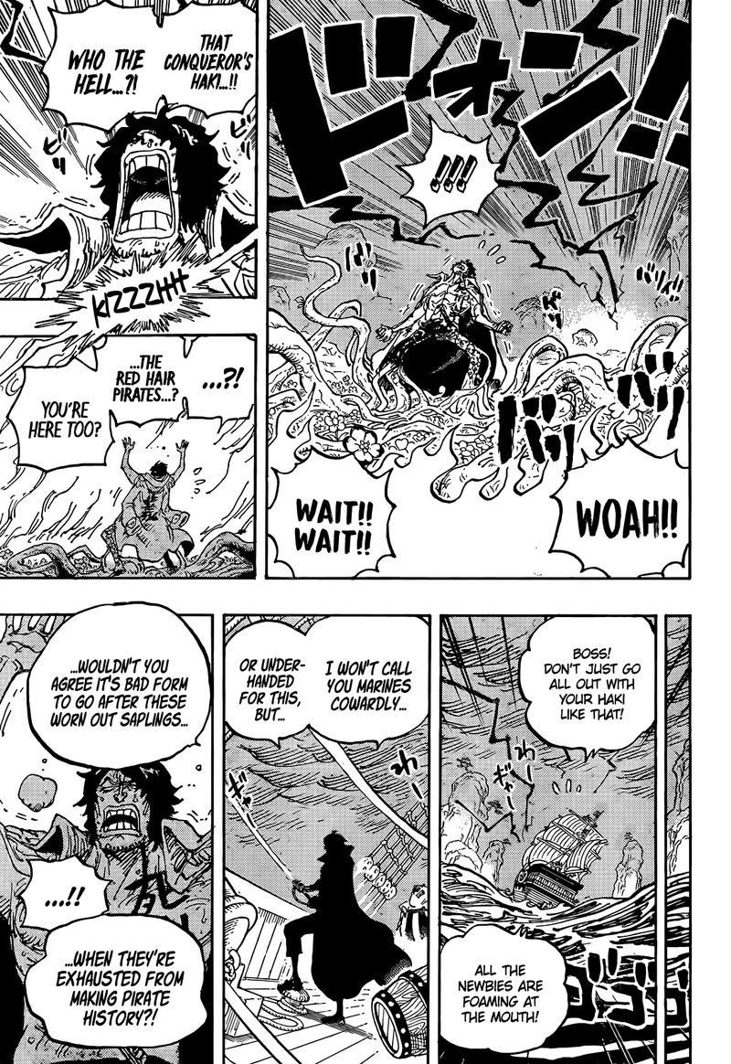 One Piece Chapter 1055 — page 16